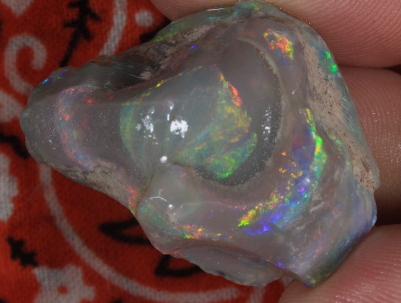 Les opales fossilisées