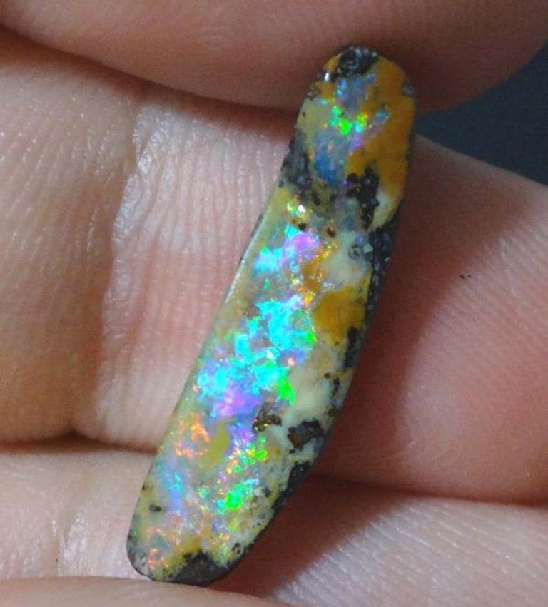 fossilized opal