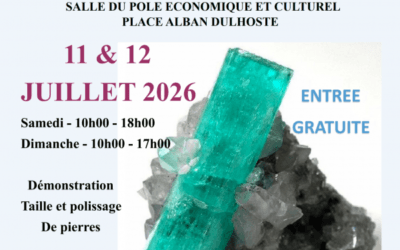 2ème Salon Minéraux Fossiles à Cazaubon-Barbotan-les-Thermes les 11 et 12 juillet 2026