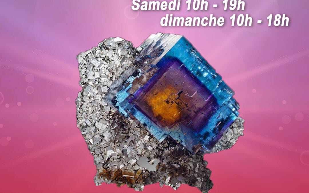 Salon Minéraux, Fossiles et Bijoux à Saint-Palais-sur-Mer 2026