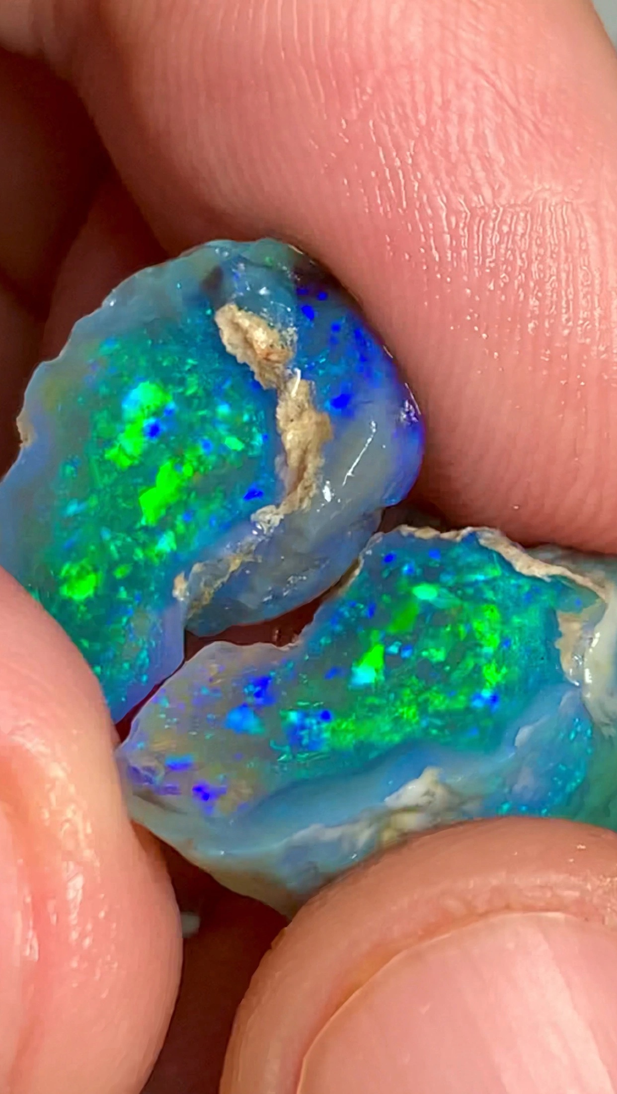 paire-opales-noires-brutes-lightning-ridge Paire d'opales noires australiennes brutes de Lightning Ridge présentant un jeu de couleurs bleu et vert