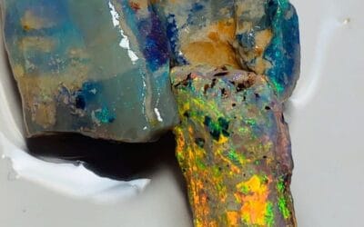 Nobby opal ou seam opal: Quelles différences ?